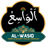 cropped-cropped-Web-Logo.png